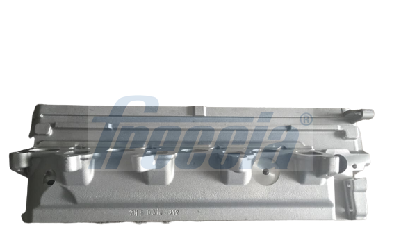 Piston Ring Kit - FR10-200800 FRECCIA