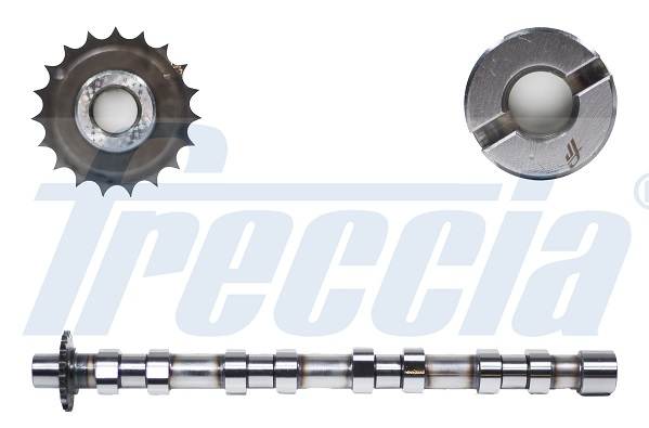 Распредвал - CM05-2176 FRECCIA