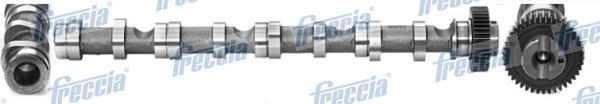 Albero a camme - CM05-2195 FRECCIA
