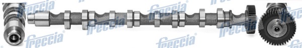 Camshaft - CM05-2196 FRECCIA
