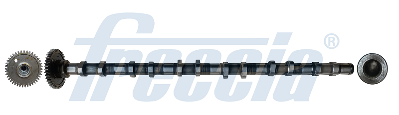 Распредвал - CM05-2355 FRECCIA