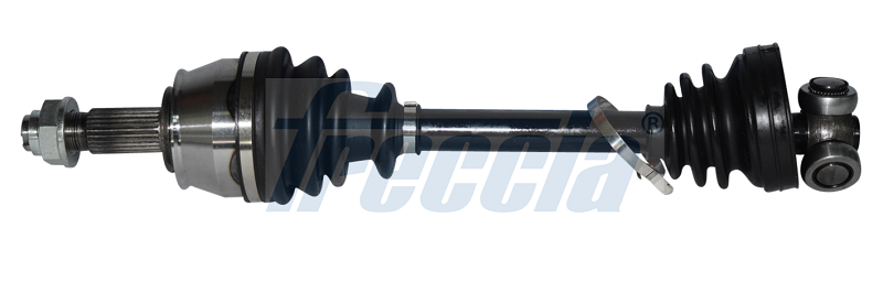 Testata - CH17-1041 FRECCIA