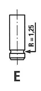 įvado vožtuvas - R4874/S FRECCIA