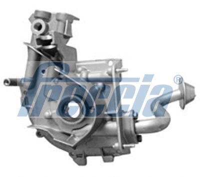 Testata - CH17-1029 FRECCIA