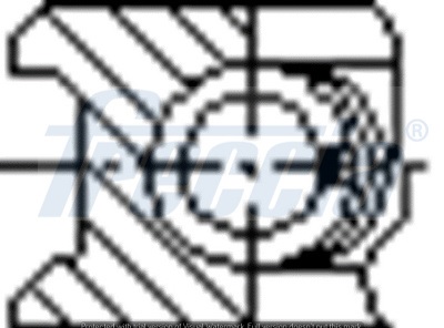 Piston Ring Kit - FR10-209500 FRECCIA