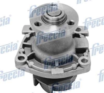 Piston Ring Kit - FR10-248100 FRECCIA