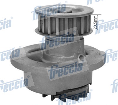 Piston Ring Kit - FR10-355600 FRECCIA