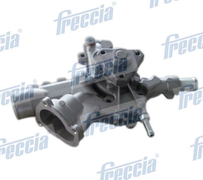 Testata - CH17-1049 FRECCIA