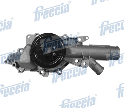 Testata - CH17-1049 FRECCIA