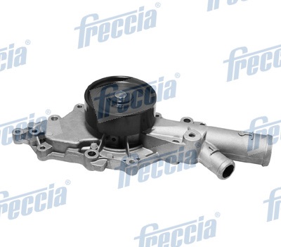 Testata - CH17-1049 FRECCIA