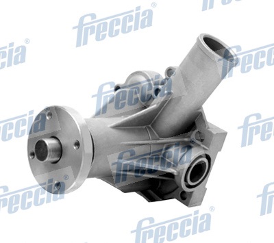 Testata - CH17-1041 FRECCIA