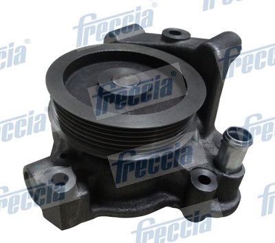 Camshaft - CM05-2219 FRECCIA