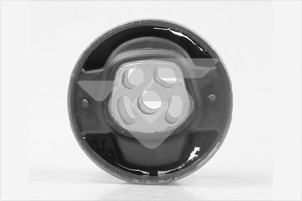 Holder, engine mounting - 594381 HUTCHINSON