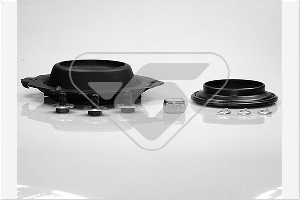 Repair Kit, suspension strut - KS 01 HUTCHINSON