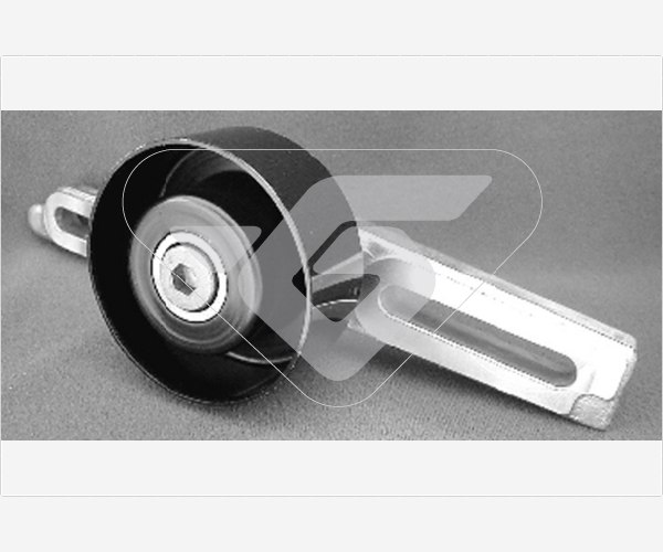 Tensioner Pulley, V-ribbed belt - T0014 HUTCHINSON