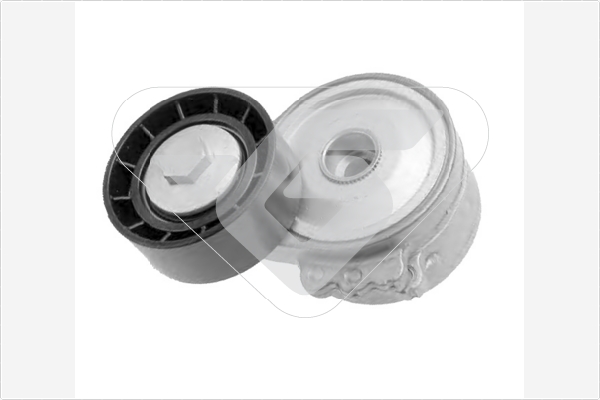 Tensioner Pulley, V-ribbed belt - T0216 HUTCHINSON