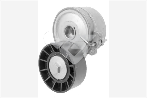 Rullo tenditore, Cinghia Poly-V - T0218 HUTCHINSON