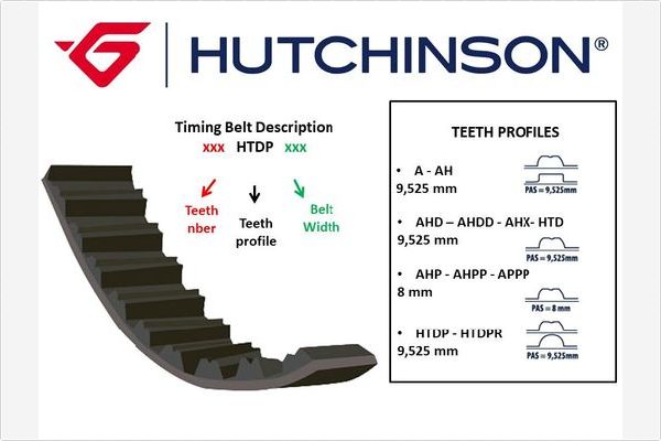 Timing Belt - 134 APPP 25 HUTCHINSON