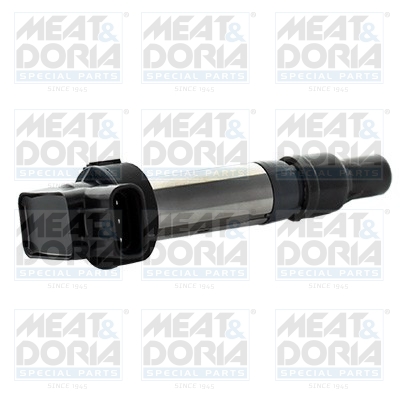 Bobina d'accensione - 10792 MEAT & DORIA