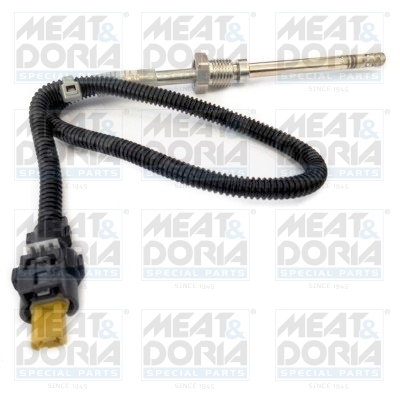 Sensore, Temperatura gas scarico - 12103 MEAT & DORIA