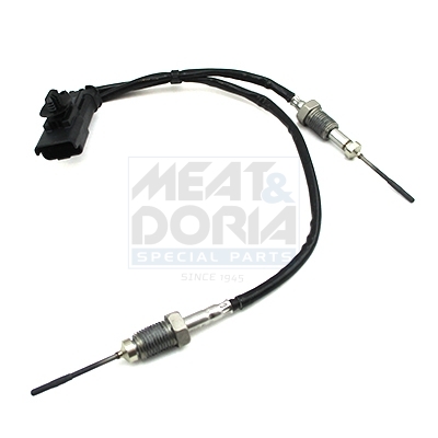 Sensore, Temperatura gas scarico - 12448 MEAT & DORIA