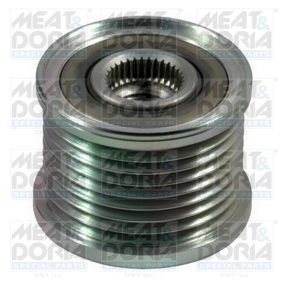 Dispositivo ruota libera alternatore - 45091 MEAT & DORIA
