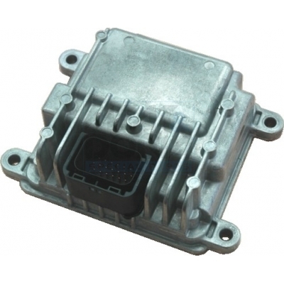 Control Unit, engine management - 70015 MEAT & DORIA