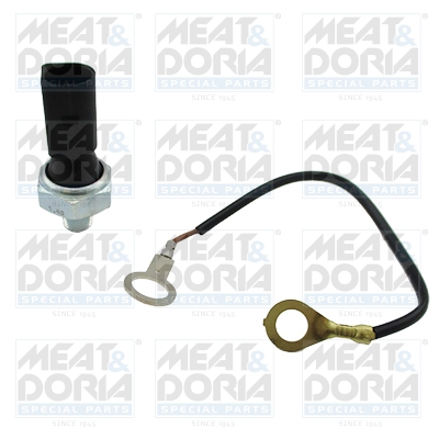 Oil Pressure Switch - 72100 MEAT & DORIA