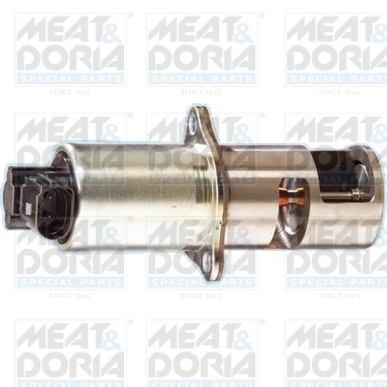 Valvola ricircolo gas scarico-EGR - 88011 MEAT & DORIA