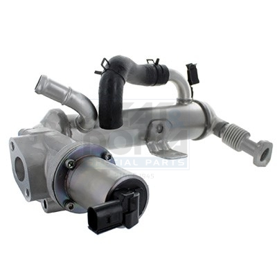 Modulo EGR - 88747 MEAT & DORIA