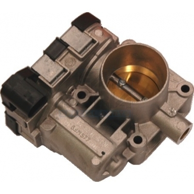 Throttle body - 89059 MEAT & DORIA