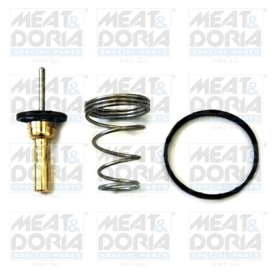 Termostato, Refrigerante - 92780 MEAT & DORIA