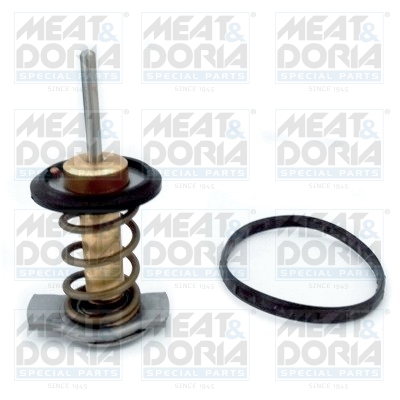 Termostato, Refrigerante - 92840 MEAT & DORIA