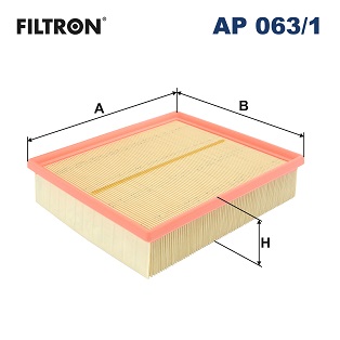 Filtro aria - AP 063/1 FILTRON