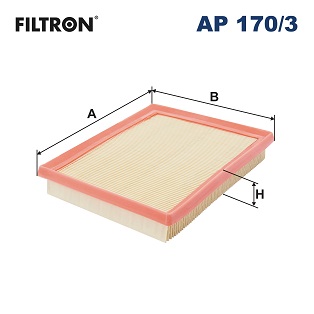 Filtro aria - AP 170/3 FILTRON