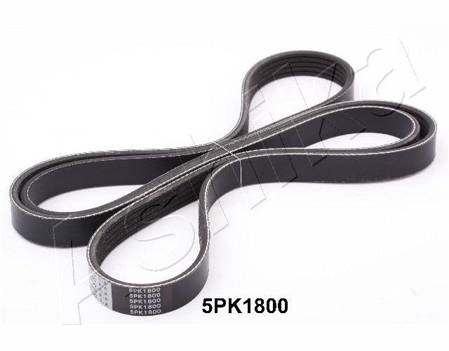 V-Ribbed Belt - 112-5PK1800 ASHIKA