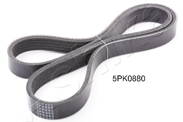 Cinghia Poly-V - 112-5PK880 ASHIKA