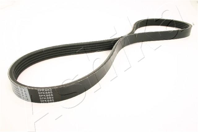 Cinghia Poly-V - 112-5PK885 ASHIKA