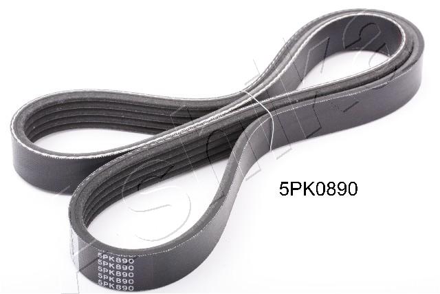 Cinghia Poly-V - 112-5PK890 ASHIKA
