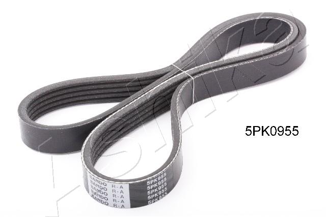 V-Ribbed Belt - 112-5PK955 ASHIKA