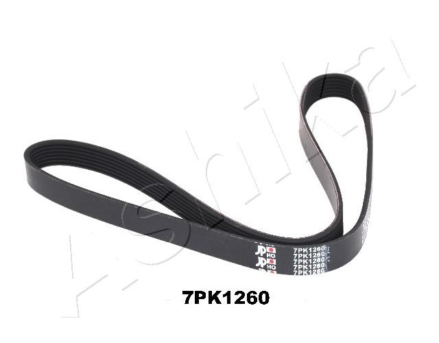 V-Ribbed Belt - 112-7PK1260 ASHIKA