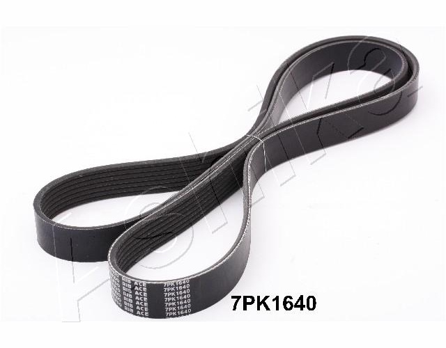 V-Ribbed Belt - 112-7PK1640 ASHIKA