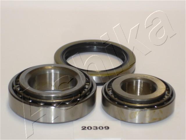 Wheel Bearing Kit - 44-20309 ASHIKA