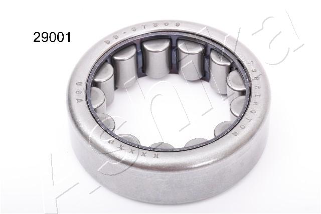 Wheel Bearing Kit - 44-29001 ASHIKA