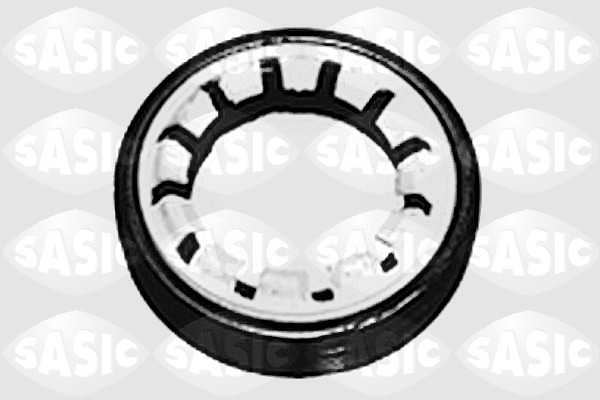 Shaft Seal, differential - 1213263 SASIC