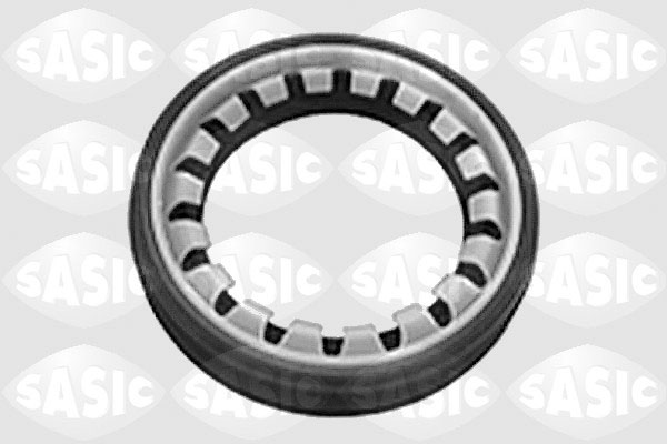 Shaft Seal, differential - 1213273 SASIC