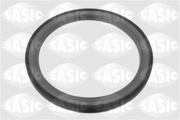 Shaft Seal, crankshaft - 1954001 SASIC