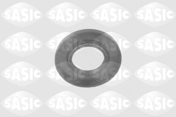 Oil Seal, manual transmission - 1954004 SASIC