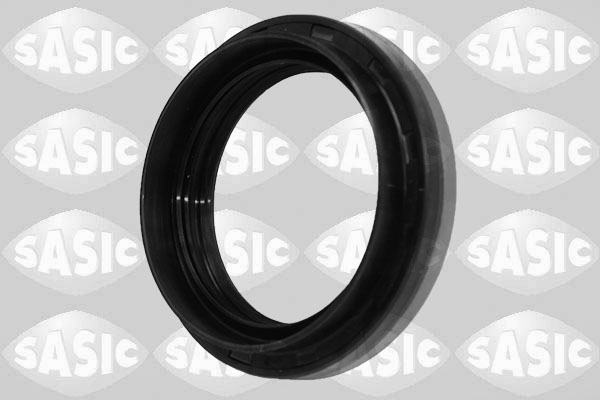 Shaft Seal, differential - 1954018 SASIC