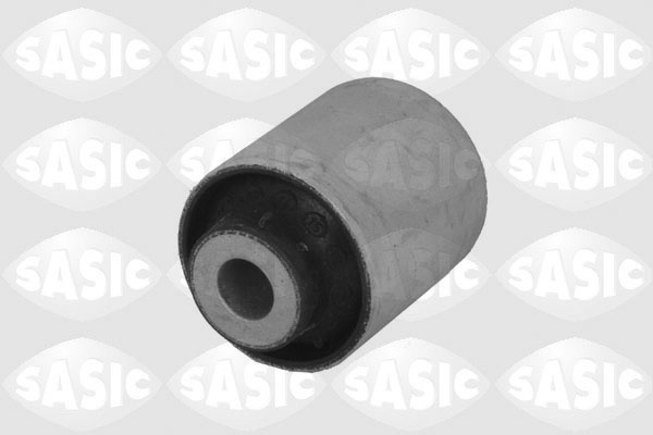 Supporto, Braccio oscillante - 2256031 SASIC
